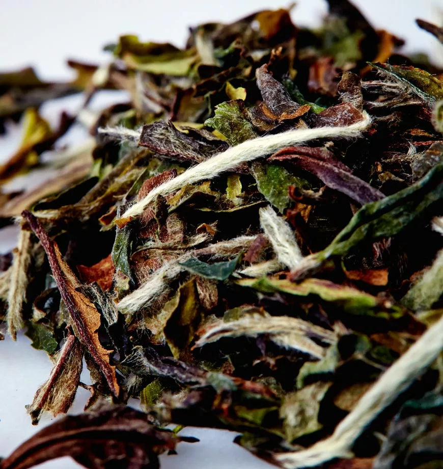 A close-up of a pile of white and green tea leaves, showcasing the delicate textures of moon bud tea.